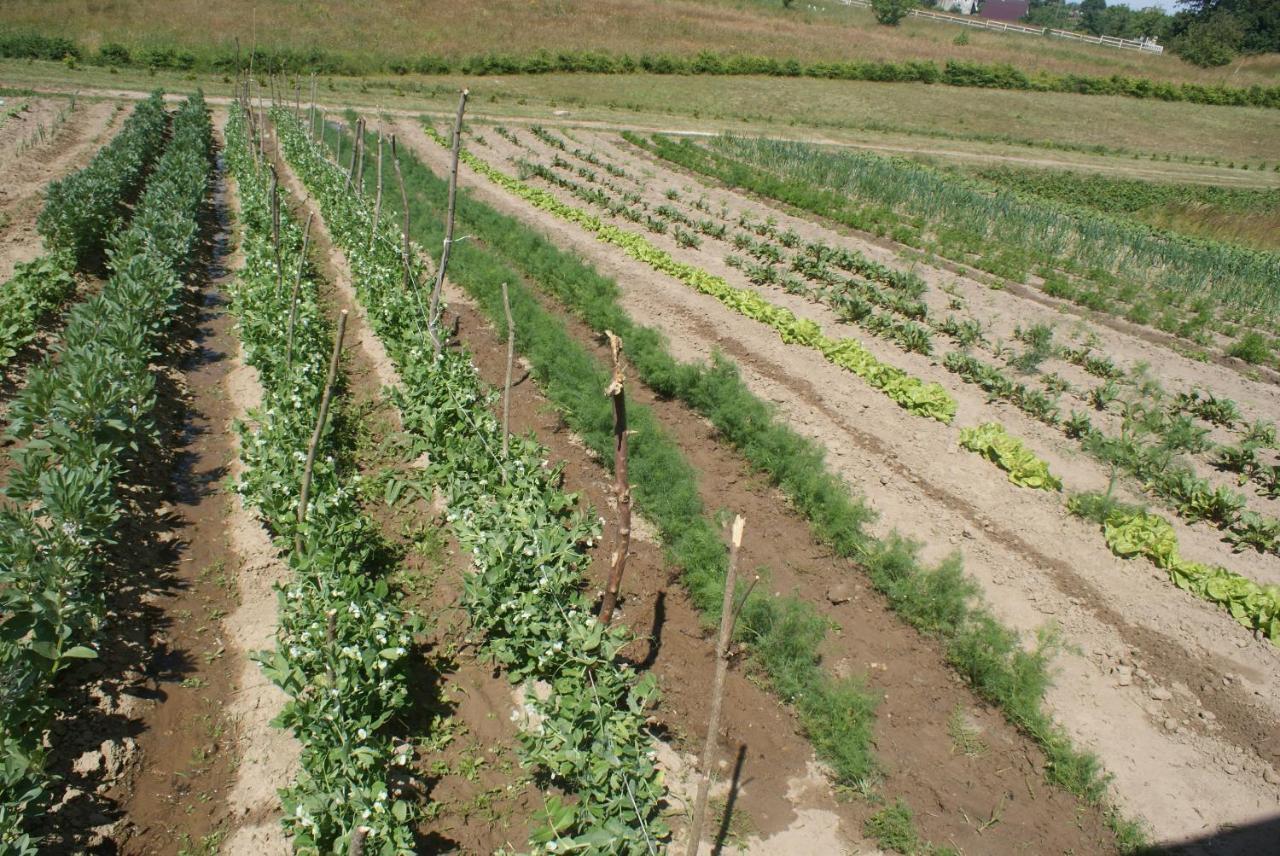 Gardna Wielka Agrodomki Okej -Dom Koko מראה חיצוני תמונה